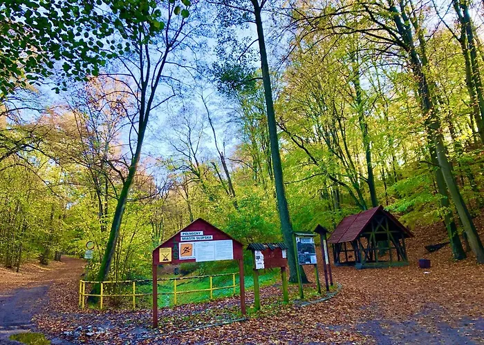 Las Slupski Premium Business Apartament Nr 7 Wifi Netflix Smart Tv50 Two Bedrooms Two Extra Large Double Beds Up To 6 People Full Pleasure Quality Stay (Adults Only)