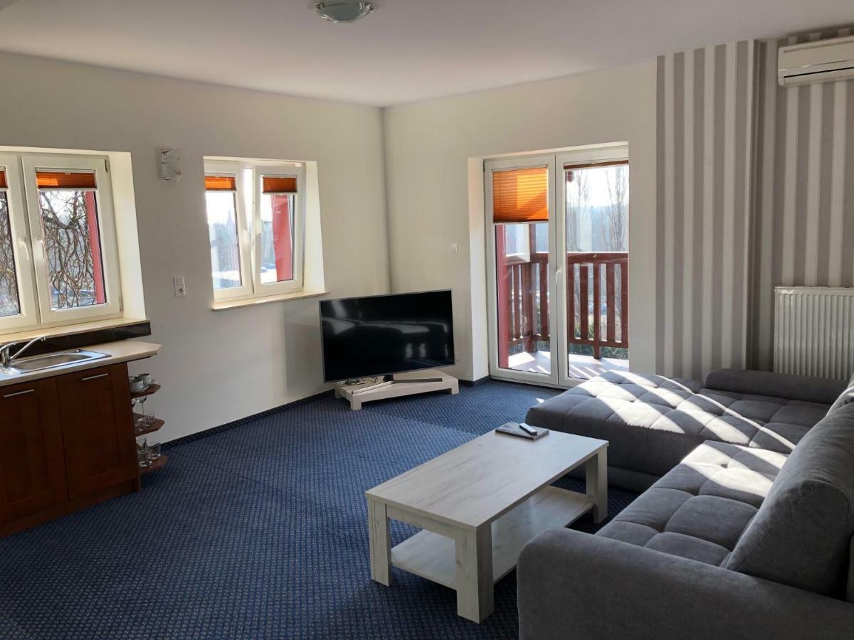 Slupski Premium: Spacious Business With Entertainment Apartment