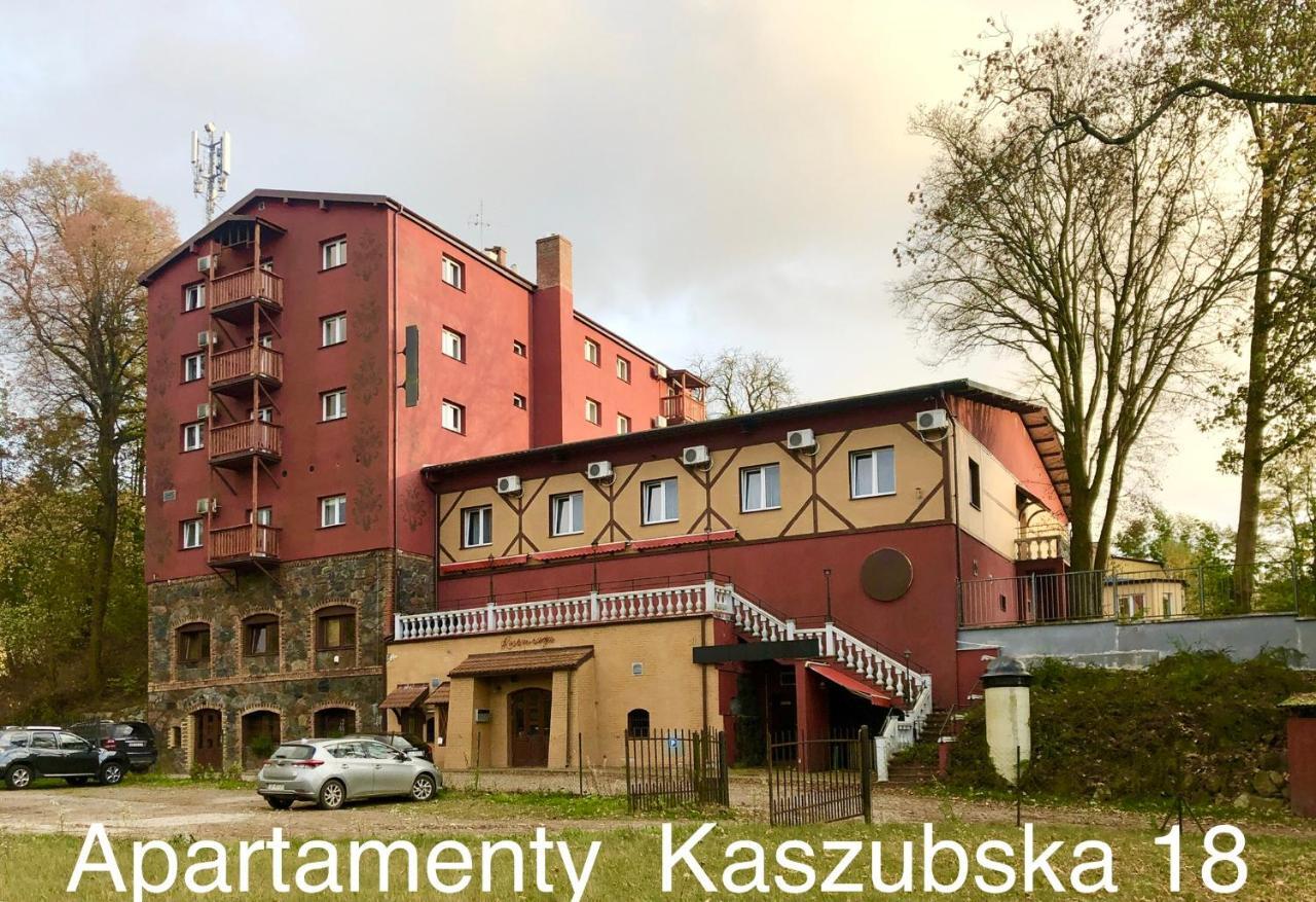 Slupski Premium: Spacious Business With Entertainment Apartment